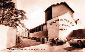 Oran-Saint-Eugene - Chais Eugene Hernandez